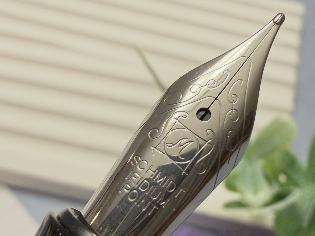 BENU Euphoria French Poetry Fountain Pen