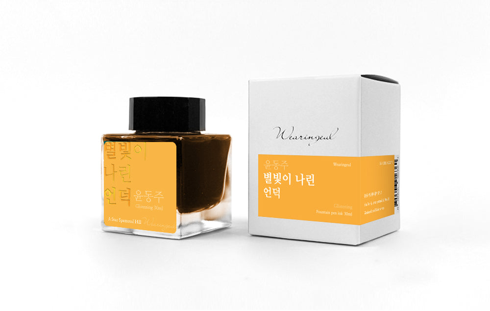 Wearinguel Fountain Pen Ink - A Star Spattered Hill